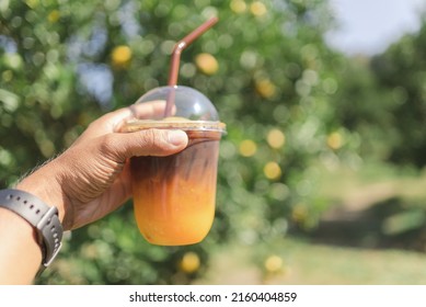 Close Up Hand Of Man Holding Glass Of Ice Coffee Mixing Orange Yuzu Juice With Orange Farm Bokeh Background.