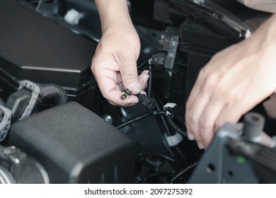 Close Up Hand A Man Plugging In For Xenon Car Headlights In Engine Room Basic Service Concept Do It Yourself Easily Of Car