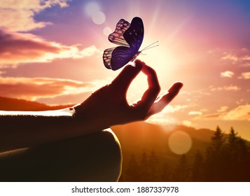 Close up of a hand in a meditation pose and butterfly. Sunset in the mountains.