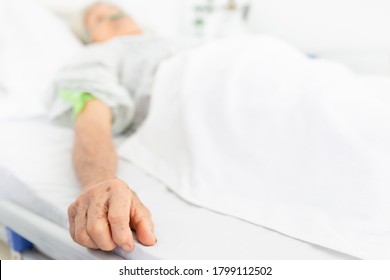 Close Up Hand On Bed, Palliative Care,  Old Asian Patient Sleep On White Bed, She Feeling Lonely, Necklace Old Female, Mother's Day