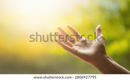 Close up of a hand open reaching towards bright golden sunlight in a nature setting with soft green background