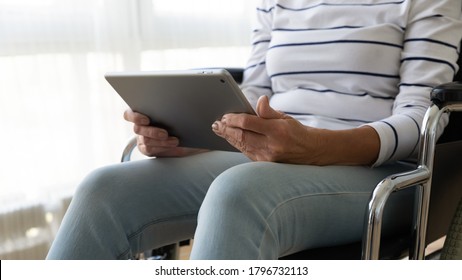 Close Up Handicapped Middle Aged Woman In Wheelchair Using Digital Computer Tablet, Web Surfing Illness Information, Watching TV Series Movie, Enjoying Leisure Free Time Indoors, Retirement Pastime.