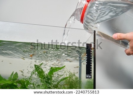 Close up of hands adding water to fill freshwater aquarium. Fish tank maintenance.