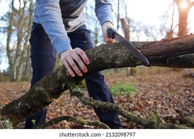 Close up of the hands of a caucasian woman sawing a fallen tree with a hand saw in the forest. Female outdoors collecting wood to start up a fire. Concept of bushcraft and outdoor survival. - Powered by Shutterstock