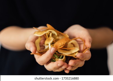 Close up hands with compost vegetable peelings on black background. Organic waste, fertilize for he soil - Powered by Shutterstock