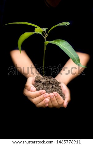 Similar – Hand holds young chili plant