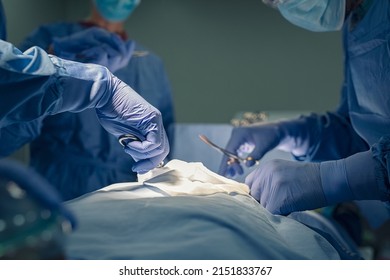 Close up of hands of medical team performing surgery at operation theater. Detail of group of doctors hands and healthcare workers holding medical instruments and working in operating room.  - Shutterstock ID 2151833767