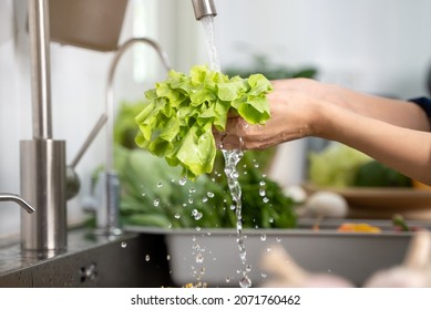 Close up of hands people washing vegetables by tap water at the sink in the kitchen to clean ingredient prepare a fresh salad. - Powered by Shutterstock