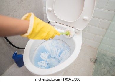 close up of hands wearing gloves using a brush when cleaning the toilet in the bathroom