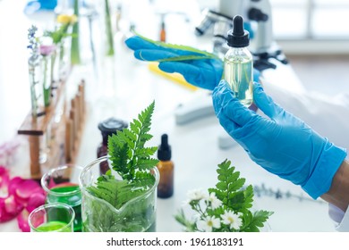 Close Up Hands Woman Science Lab Research For Natural Alternative Herb And Essential Oil From Fresh Flower New Product Skin Care With Microscope In Laboratory.  Healthy Herb Concept