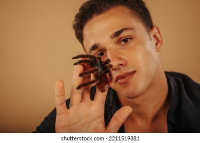 Close Up Of Handsome Man Holding Tarantula While Sitting At The Studio