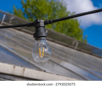 Close up of a hanging outdoor string light bulb against a greenhouse roof, blue sky and green trees, showing simple garden decor, electricity and summer backyard atmosphere.