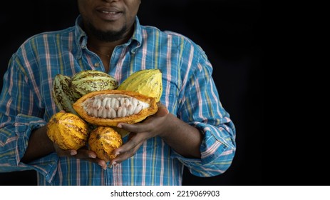 Close Up Happy African Man Or Farmer Holding Cacao Or Cocoa Fruits In Arms, Looking At Camera On Black Background With Copy Space.