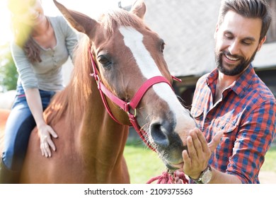 Close up Happy Couple feeding horse - Powered by Shutterstock