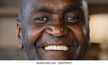 Close Up Happy Male Face Portrait 60s African American Man Senior Grandfather Adult Friendly Person Elderly Ethnic Pensioner Looks At Camera Posing Indoors Smiling Toothy Smile Shows Positive