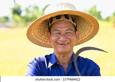 Close Up Happy Thai Male Farmer Harvesting Rice In Countryside Thailand