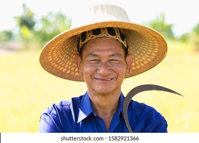 Close Up Happy Thai Male Farmer Harvesting Rice In Countryside Thailand