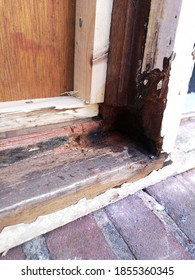 A Close Up Of Hardwood Frame With Wood Rot