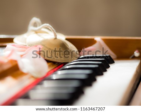 Close up of a harmonium with petals