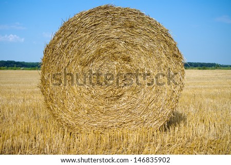 Similar – Image, Stock Photo straw bale Straw