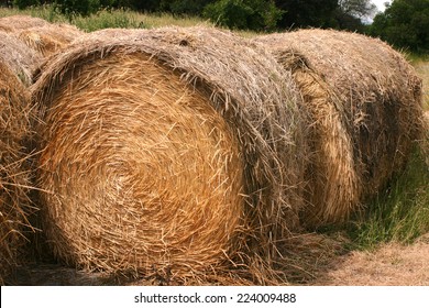 8,289 Bundle of hay Images, Stock Photos & Vectors | Shutterstock