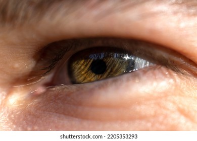 Close Up Of Hazel Eye