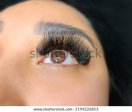 Close up of hazel eye with eyelash Extensions Russian Volume . High quality photo