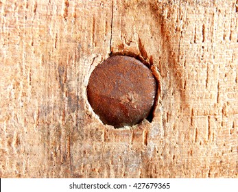 Close Up Of The Head Of An Old Rusty Nail Embedded In An Oak Truss