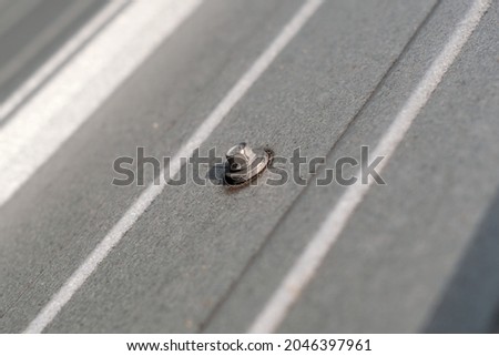 close up of a head of a slightly corroded and weathered hex head screw on a metallic-colored steel clad roof