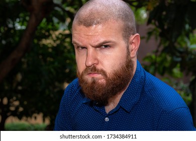 Close Up Headshot Of A Bearded Bald Man With An Angry Expression Wearing A Blue Shirt. High Textured Greasy Skin On A Hot Day