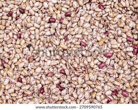Close Up of Heap Pinto Bean. Background, texture.