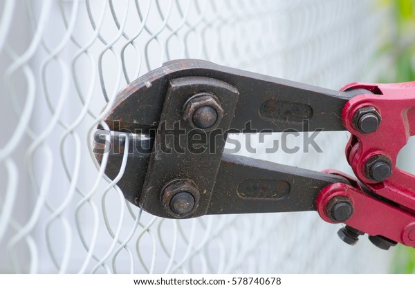 Close up of heavy\
metal bolt clipper with red handles cutting fence, blurred\
background and copy\
space.