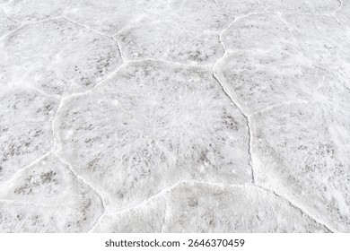 Close up of hexagon patterns in salt pan of the Bonneville Salt Flats a remnant of the Pleistocene Lake Bonneville near Wendover, UT, USA