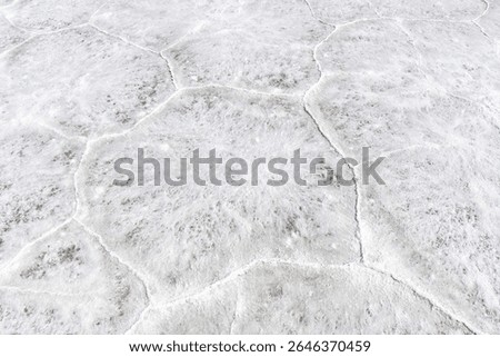 Close up of hexagon patterns in salt pan of the Bonneville Salt Flats a remnant of the Pleistocene Lake Bonneville near Wendover, UT, USA