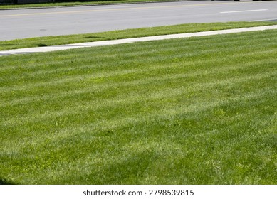Close up high angle view of a freshly cut green grass lawn with beautiful mower stripes pattern next to a suburban concrete sidewalk and asphalt road.