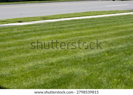 Close up high angle view of a freshly cut green grass lawn with beautiful mower stripes pattern next to a suburban concrete sidewalk and asphalt road.
