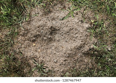 Close up high resolution surface of sand ground and grunge ground