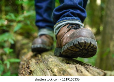 2,666 Jungle shoes Images, Stock Photos & Vectors | Shutterstock