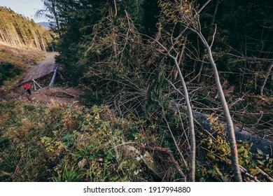 A close up of a hillside next to a forest