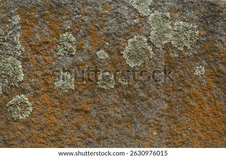 Close up of Historic Headstone in Rural East TX Cemetery