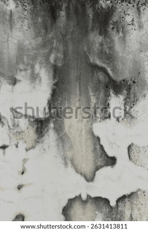 Close up of Historic Headstone in Rural East TX Cemetery