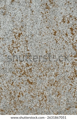 Close up of Historic Headstone in Rural East TX Cemetery