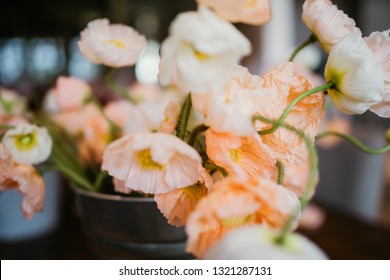 Close Up Of Home Grown Peach Colored Poppies Flowers To Be Added By A Florist To An Arrangement