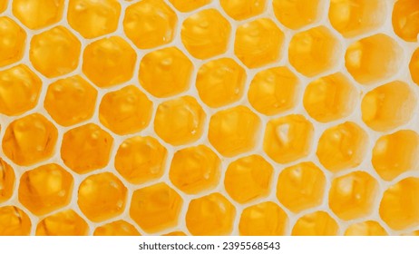 Close up of honey bees on wax honeycombs with hexagonal cells for apiary and beekeeping, concept background. Working bees on honeycomb. Wax, perga pollen and honey. Honey production. - Powered by Shutterstock