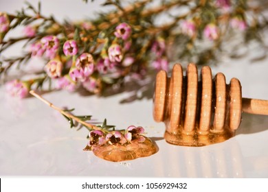 Close up of honey and dipper on a white background, manuka honey - Shutterstock ID 1056929432