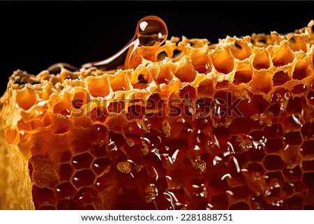 Close up of honeycomb with on black background. 
