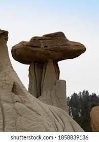 Close up of a hoodoo or capstone in Makoshika State Park in Montana. Evergreen trees are in the background.