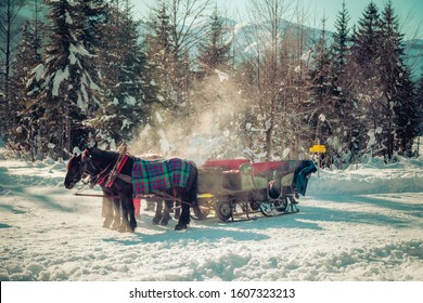 Close Up Of Horse Drawn Carriage In Winter, Sunshine, Austria