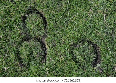 A Close Up Of Horse Hoof Prints That Have Been Left On The Grass  