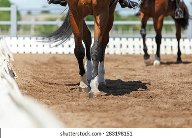 Close up of the horse hooves in motion. Dressage competition. - Powered by Shutterstock